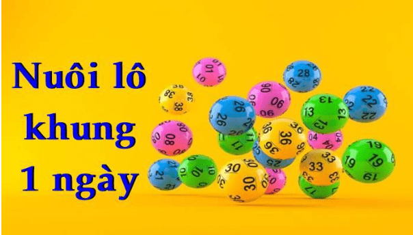 K8 Chia sẻ kinh nghiệm chơi lô khung 1 ngày