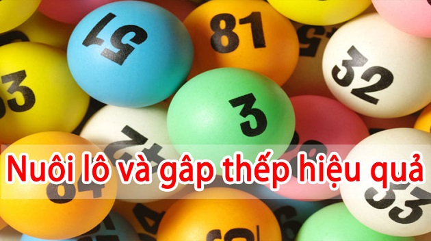 3 bí quyết nuôi lô đề không bao giờ thua