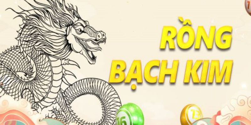 soi cau rong bach kim 679b01937d973